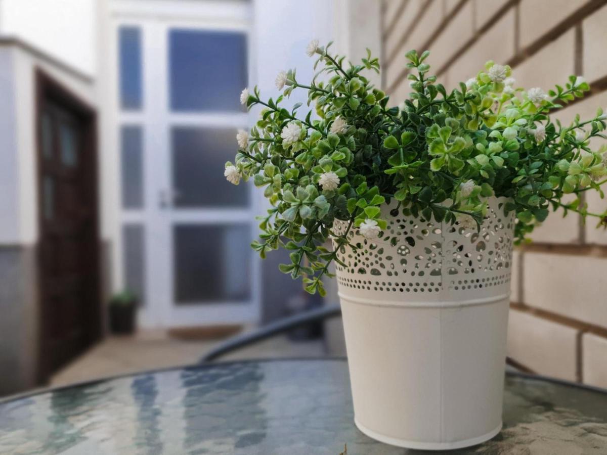 Apartment Laura & Lucija Osijek Ngoại thất bức ảnh